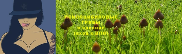 спайс Михайловск