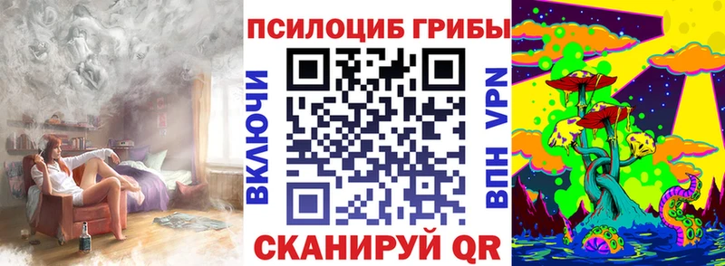цена   Жирновск  площадка формула  Галлюциногенные грибы Psilocybine cubensis 